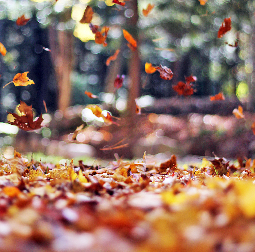 Weston, Massachusetts