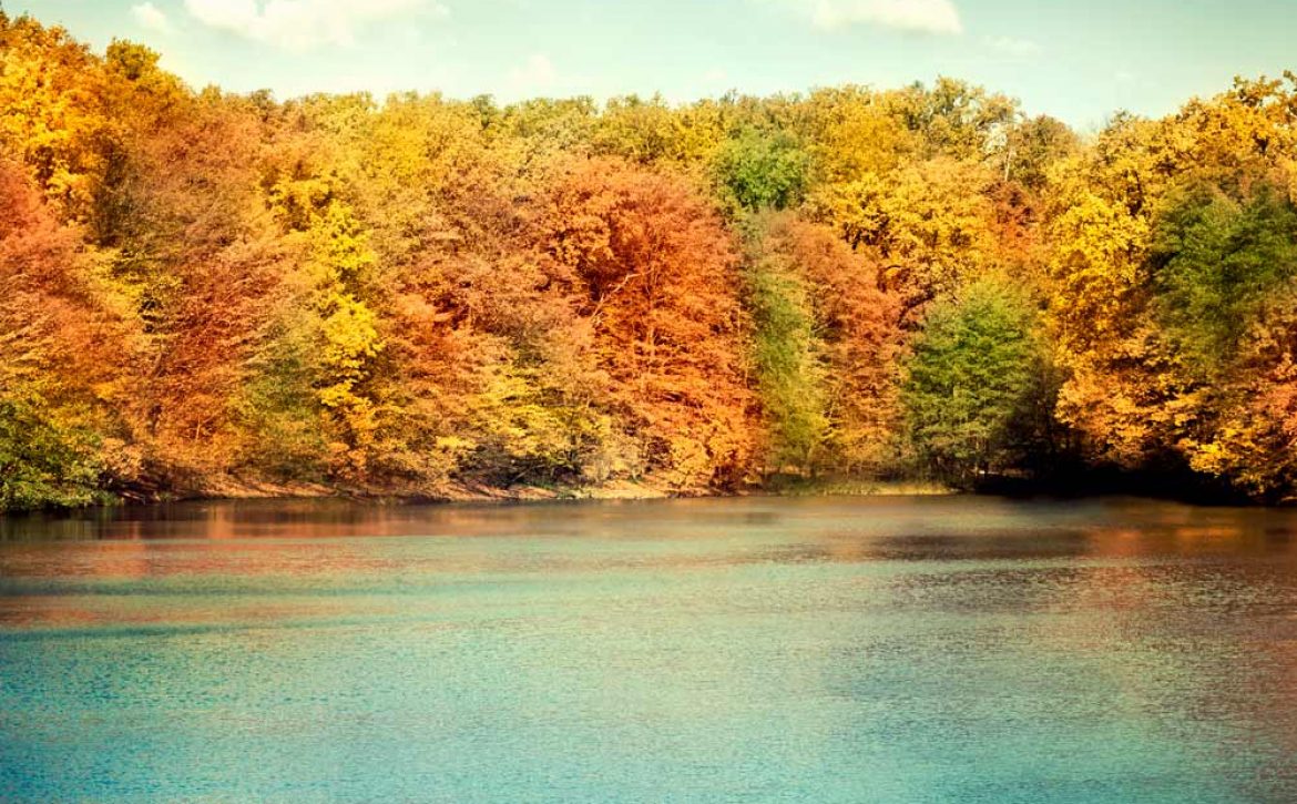 Far-Hills-Lake-Game-Club