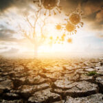 Does Covid-19 Have Any Tie to Climate Change?