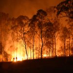 The Fires in Australia and Hurricane Sandy
