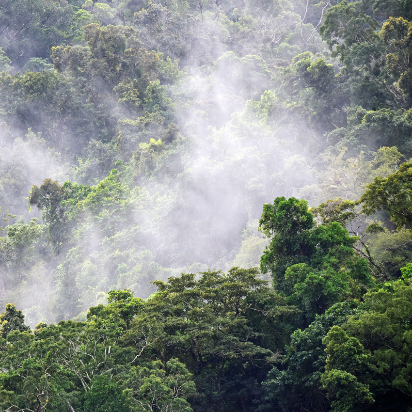 Lookout Mountain, TN