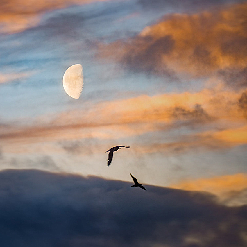 Far Hills, New Jersey