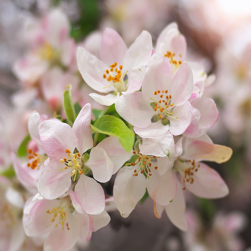 Bernardsville, New Jersey