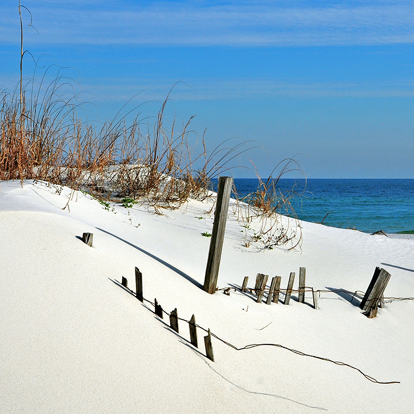 The Bridgehampton Club