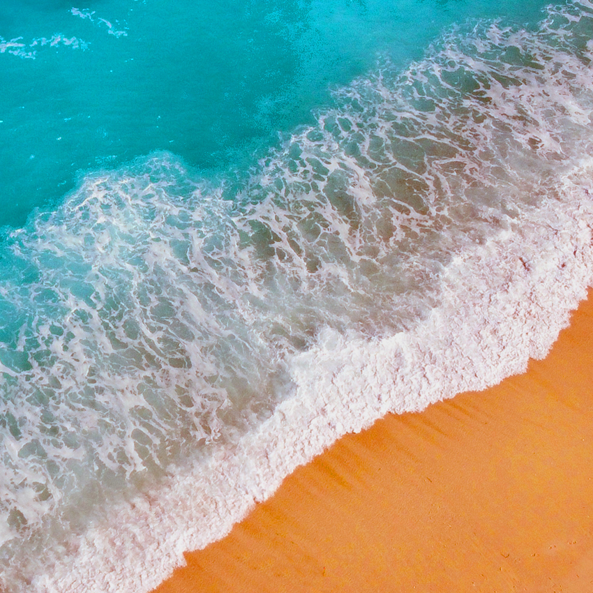 Saint Edward's School