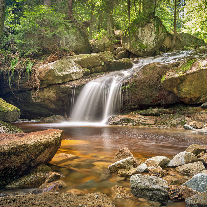 The Classic City Rotary Club