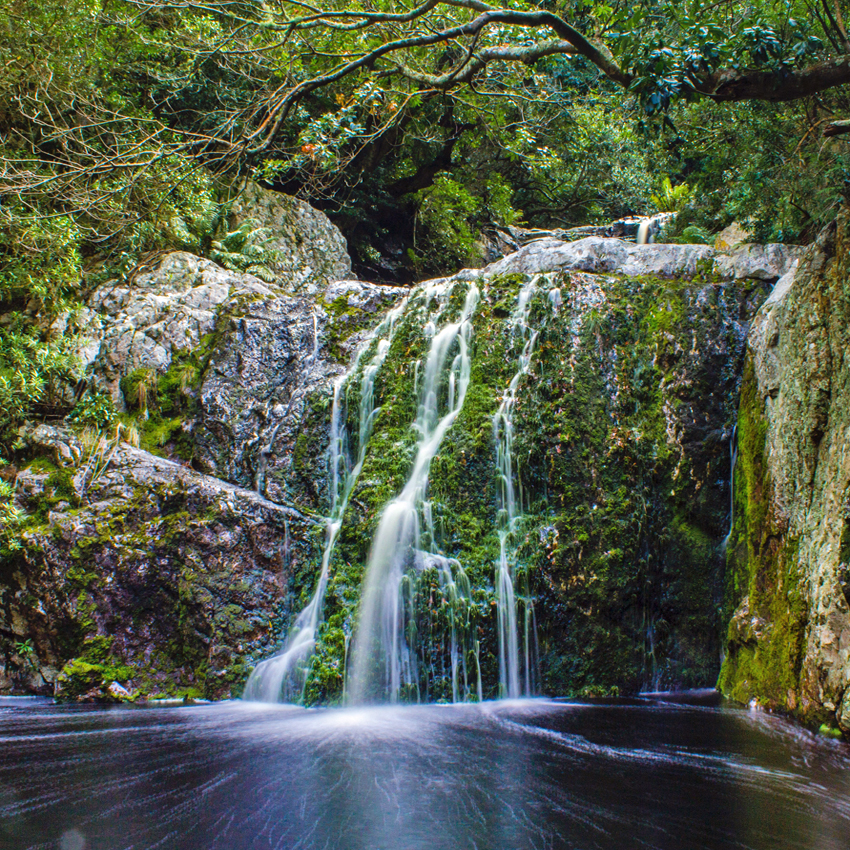 Raritan Headwaters Association
