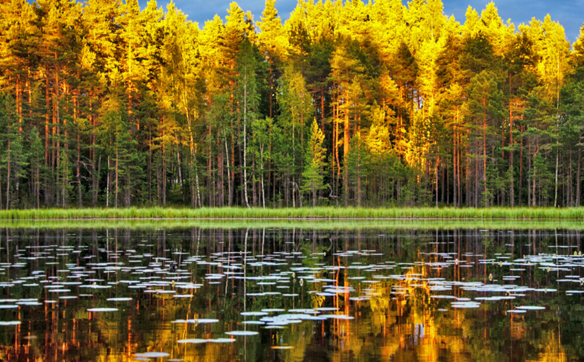 Fall Lake 850
