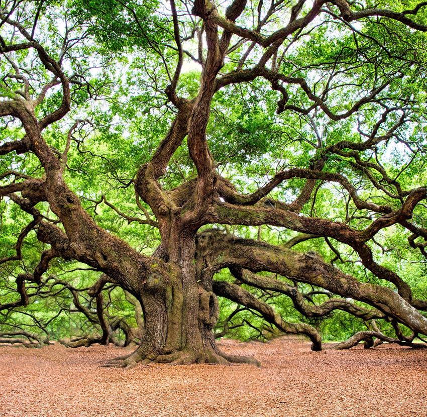 Greenville, South Carolina