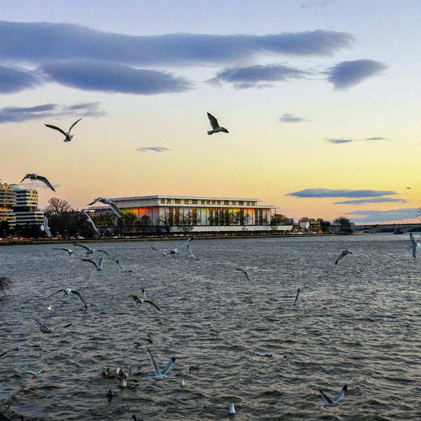 Georgetown, Washington, DC