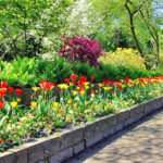 Late Bloomers Garden Club