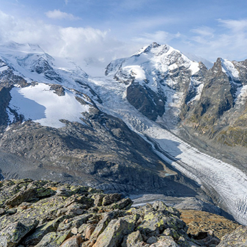 Memphis University School