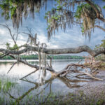 September Curated Climate News
