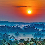 The Garden Club of Reading