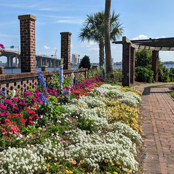 Jacksonville Climate Coalition & St. John's Riverkeeper