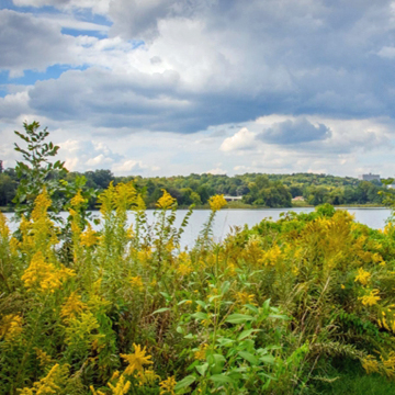 Ohio Garden Club