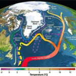 What Would Happen if AMOC Collapsed Completely?