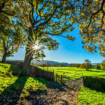Princeton Theological Seminary