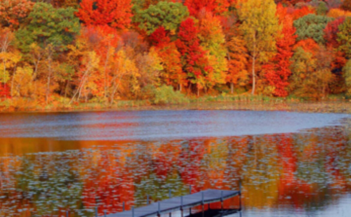 Minnetonka Lake 360