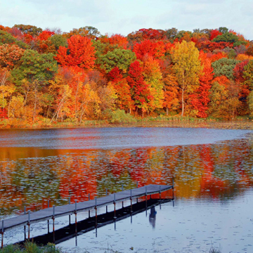 Minnetonka Rotary